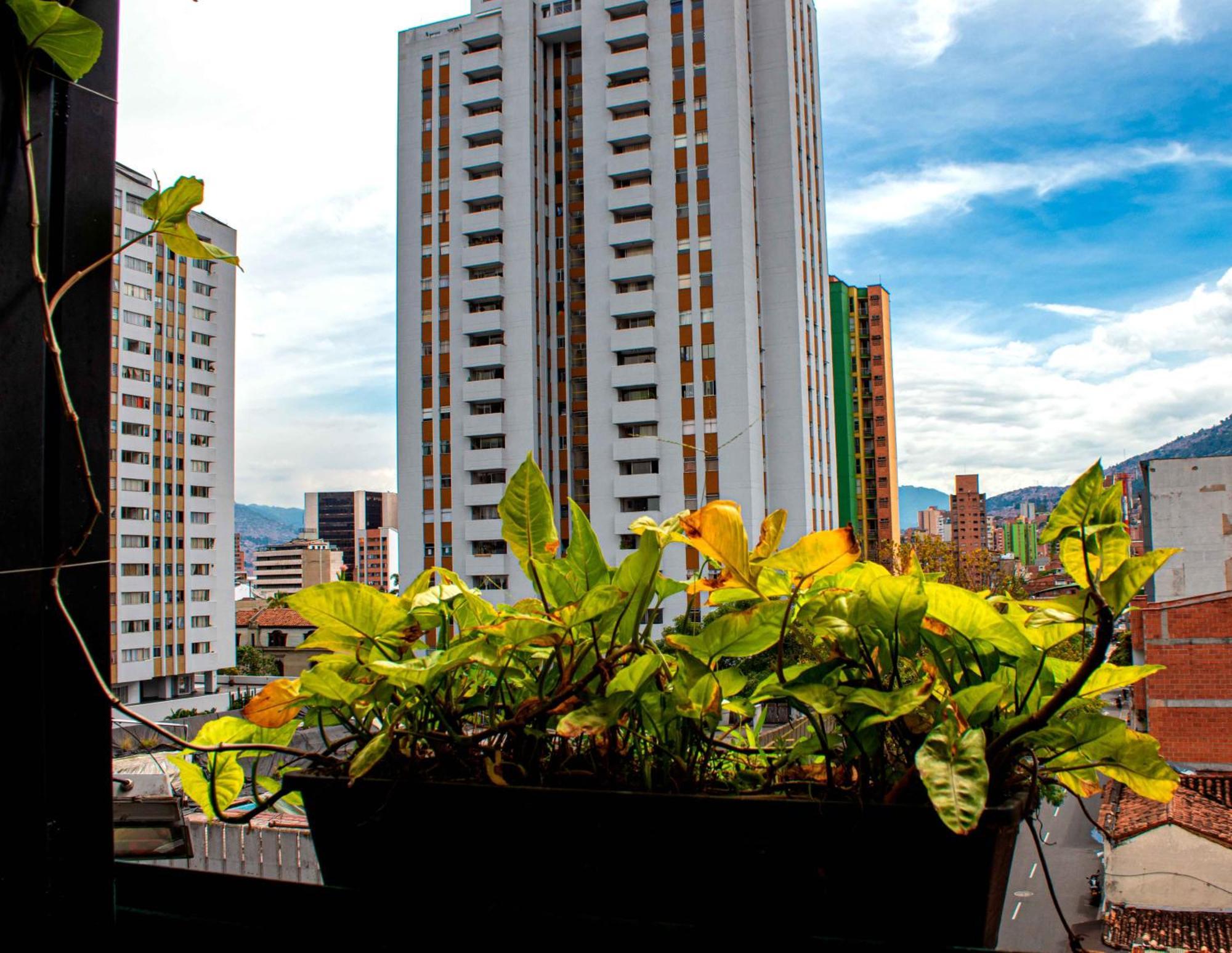 Hotel Medellin Arte Eksteriør bilde